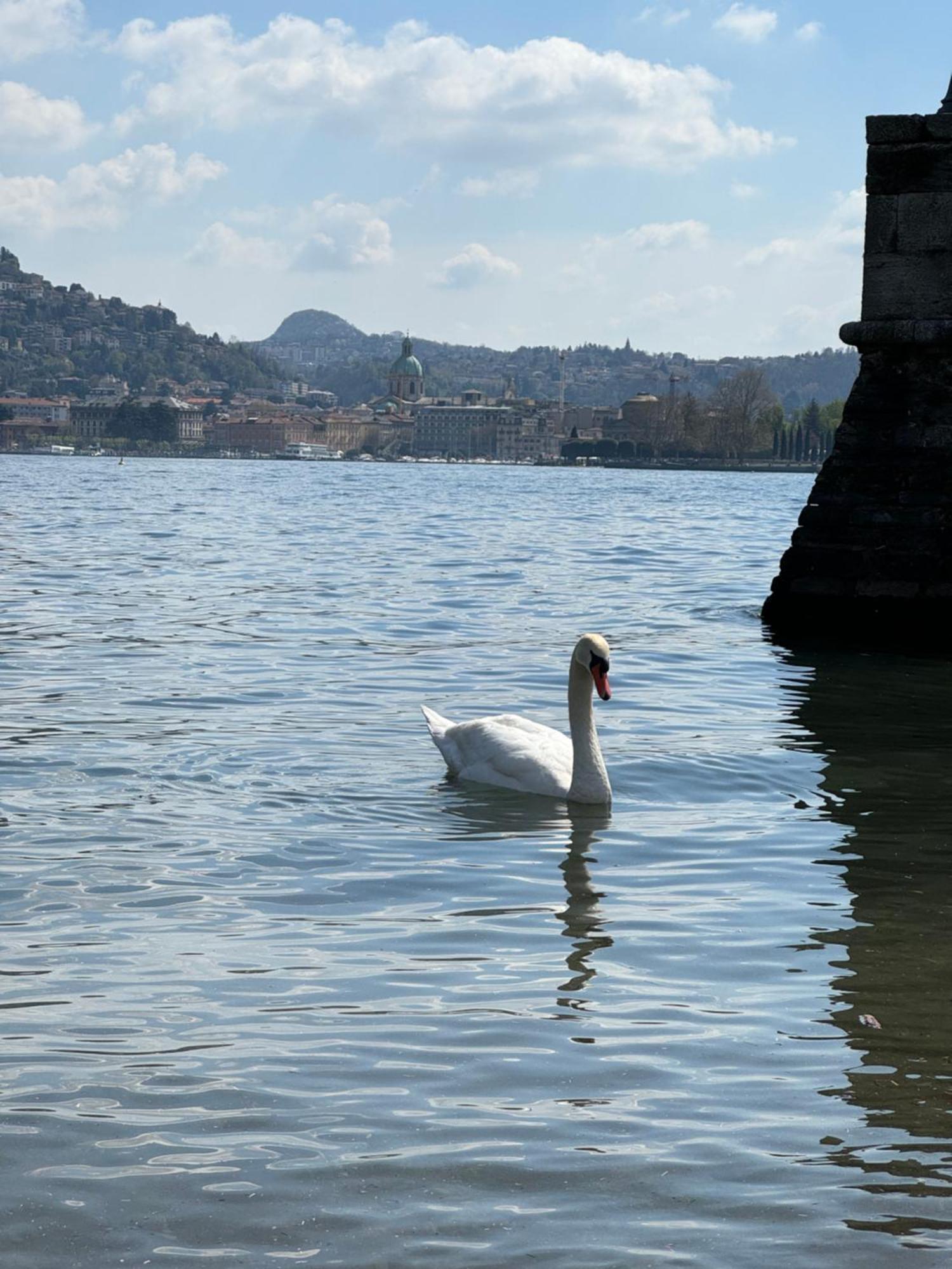 Portatorre Suite, A Charming Apartment In The Heart Of Como, Free Private Parking, Air Conditioning & More! Екстериор снимка